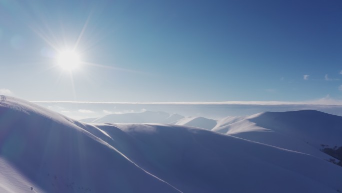 覆盖着常绿冷杉树的高雪山