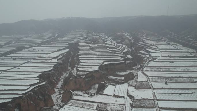 陕西乡村下雪白雪大山窑洞银装素裹农田梯田