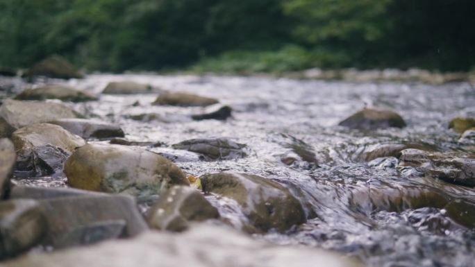 清澈的水流在多石的河流中流动