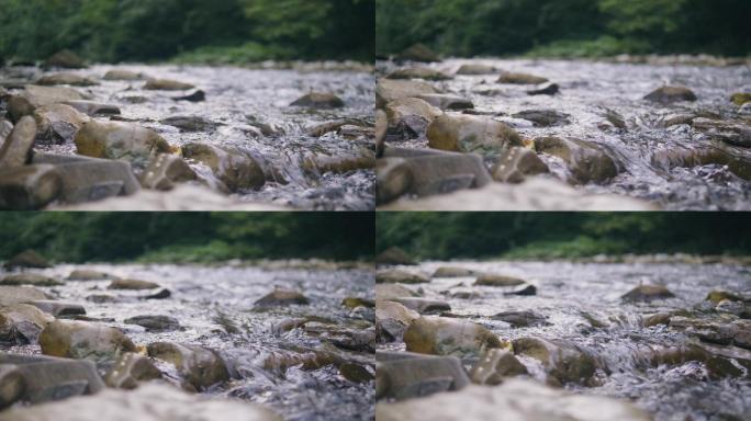 清澈的水流在多石的河流中流动
