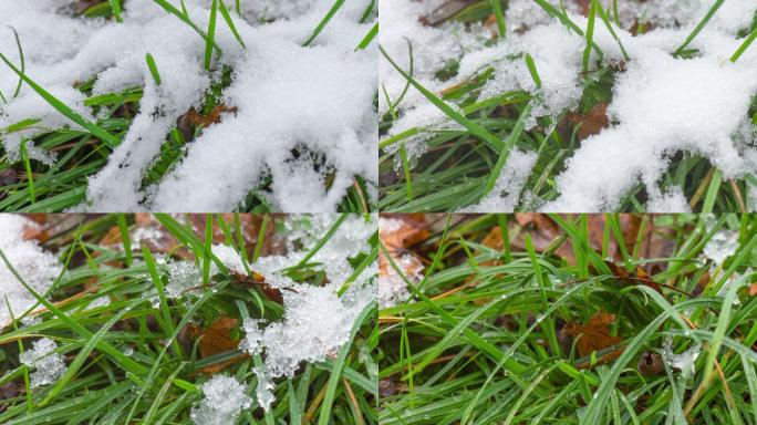 融雪的时间流逝