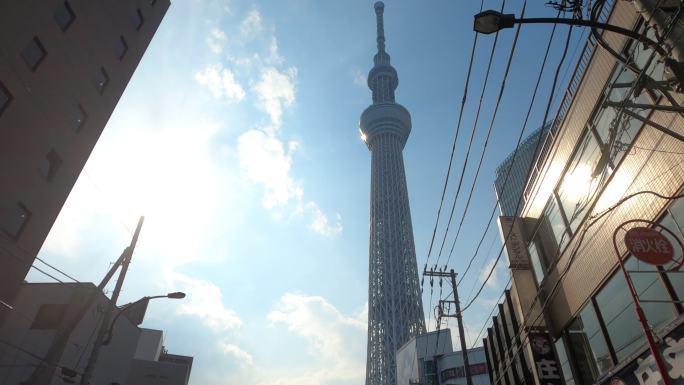 东京天空树和周围的建筑