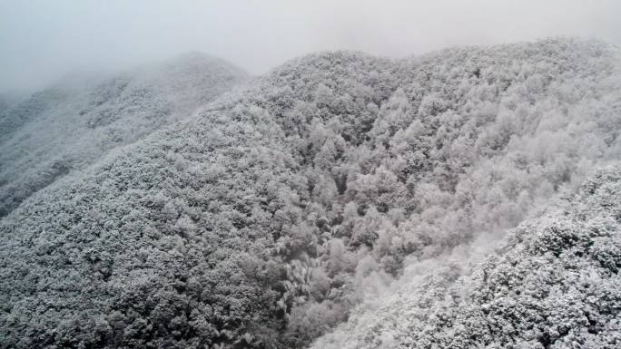 大雪天雪景