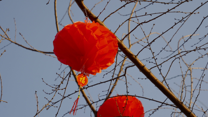 【4K】北京街头节日红灯笼03-日景空镜