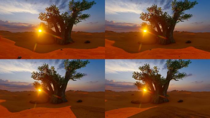 非洲沙漠中的一棵猴面包树