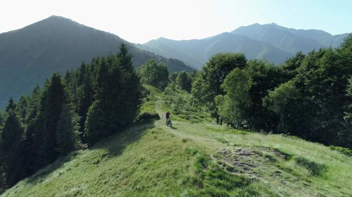 骑手沿着森林骑行越野自驾