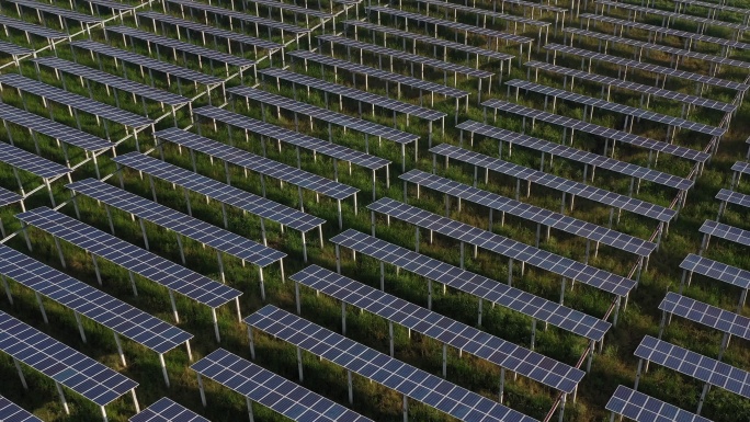 太阳能组件或太阳能电池板农场