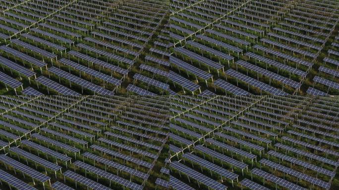 太阳能组件或太阳能电池板农场