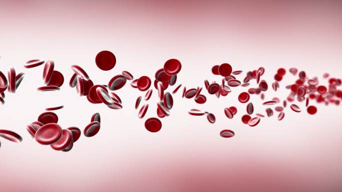 红细胞在血液中循环的动画演示