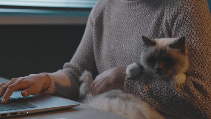 一个女人抱着她的猫