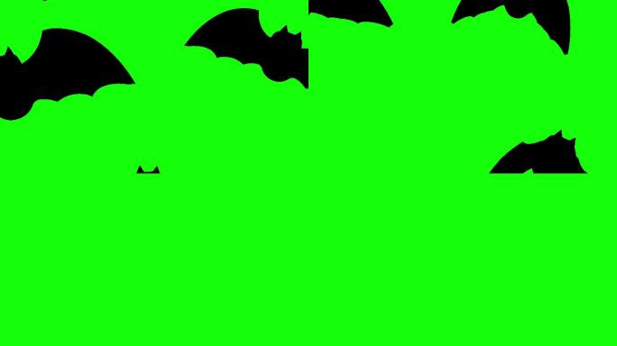 万圣节主题飞行蝙蝠动画
