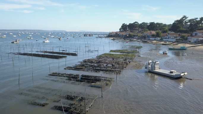 法国阿卡松盆地白鼬牡蛎养殖场