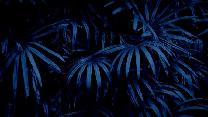 夜间摇曳的丛林植物