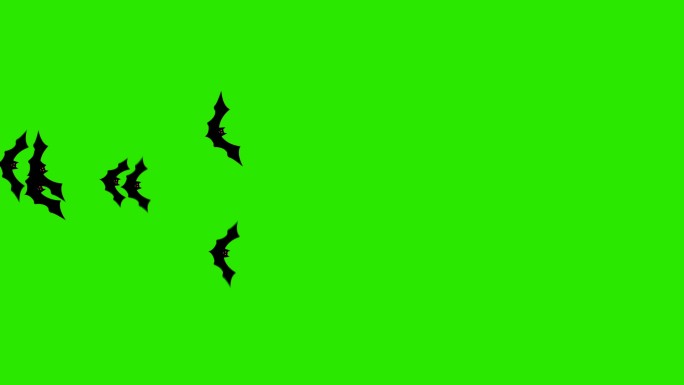 一群蝙蝠在绿色屏幕上从一边飞到另一边