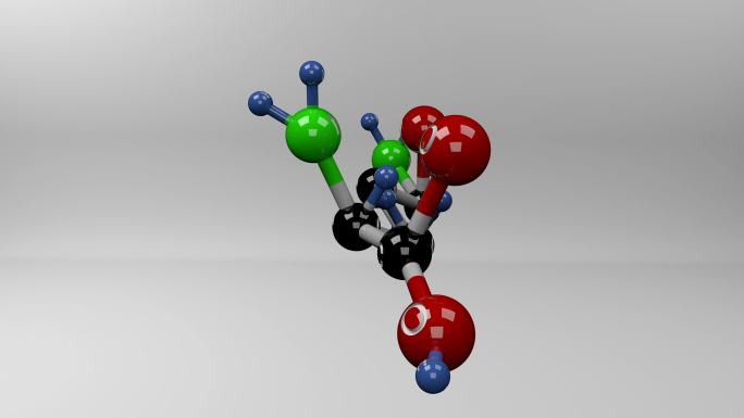 谷氨酰胺分子