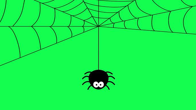 蜘蛛挂在网上