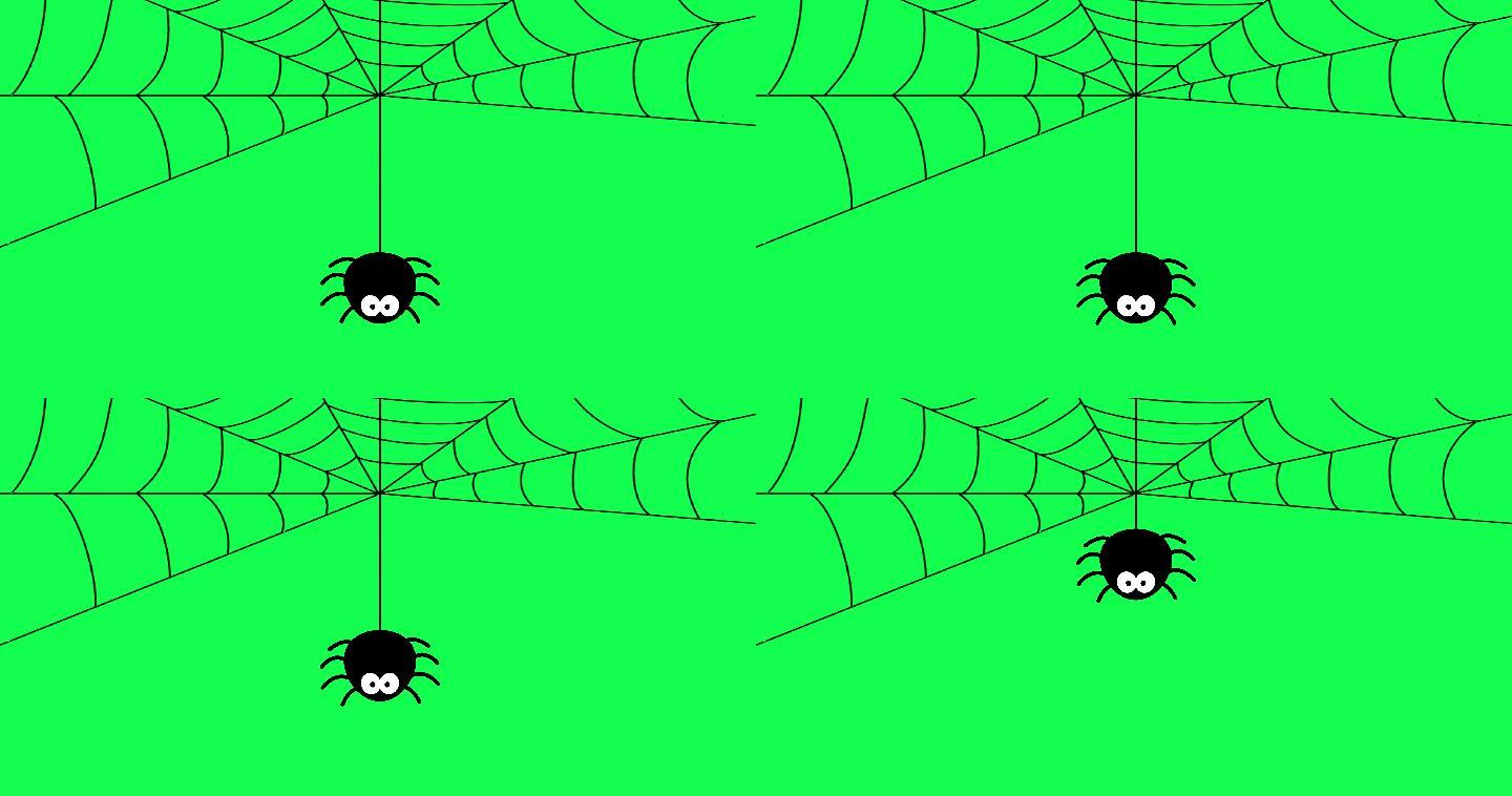 蜘蛛挂在网上