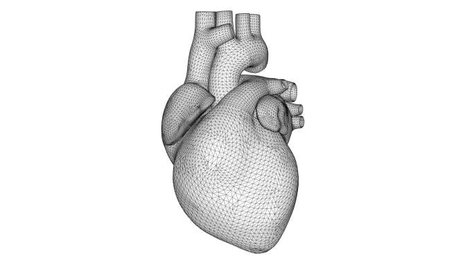 白色3D线框心跳心脏结构电脑模拟线框动画