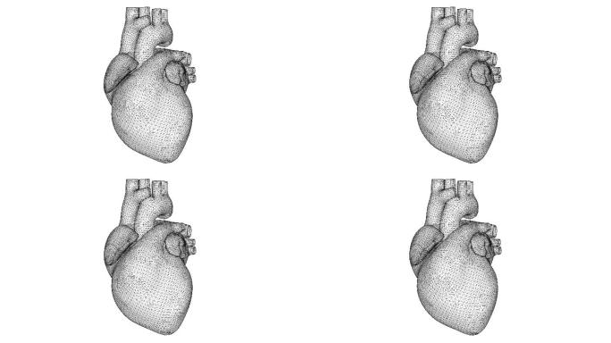 白色3D线框心跳心脏结构电脑模拟线框动画