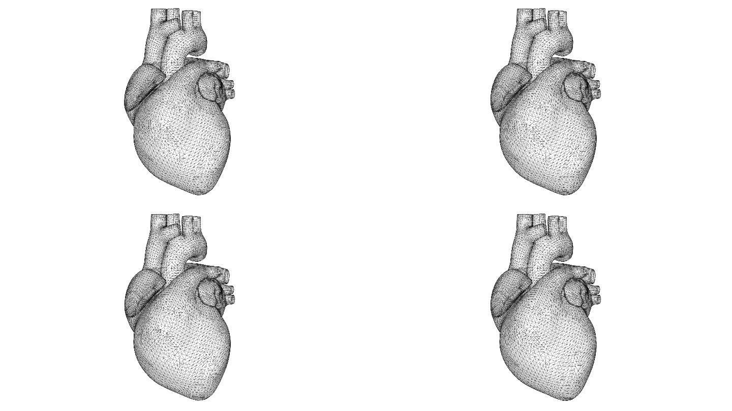 白色3D线框心跳心脏结构电脑模拟线框动画