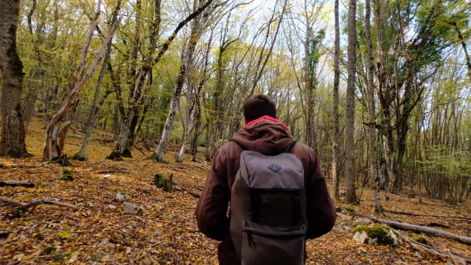 独自走在森林路上视频素材