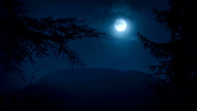 月圆之夜半满黑暗村庄