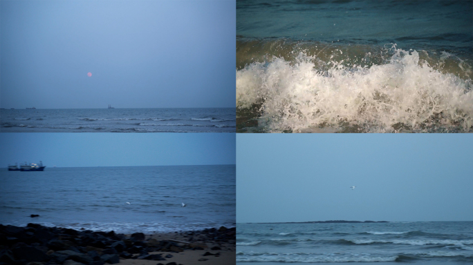 大海沙滩海边浪花礁石海上飞鸟海鸥晚上月亮