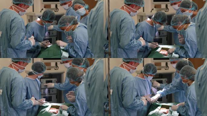 医学生在模型上练习外科手术