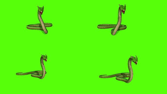 蟒蛇绿屏3D建模抠像抠背神兽