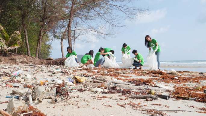 志愿者成员在清洁夏季海滩的垃圾