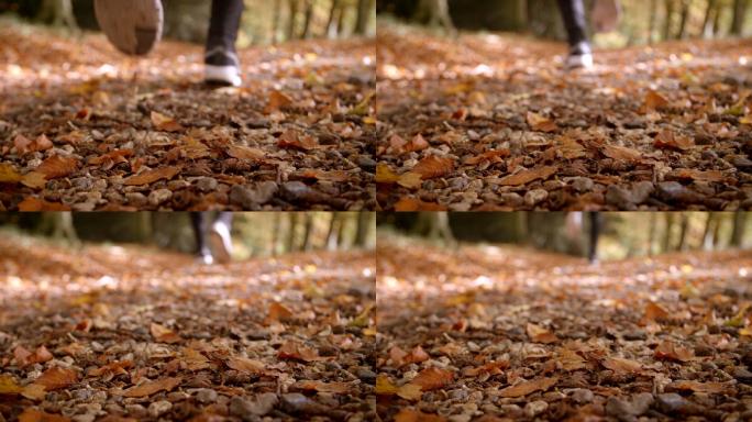 男人走过秋天风景的特写镜头