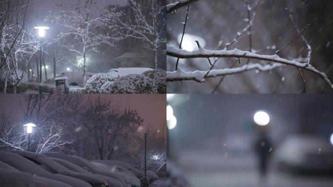 雪 下雪  夜晚 雪景 树枝 冬天