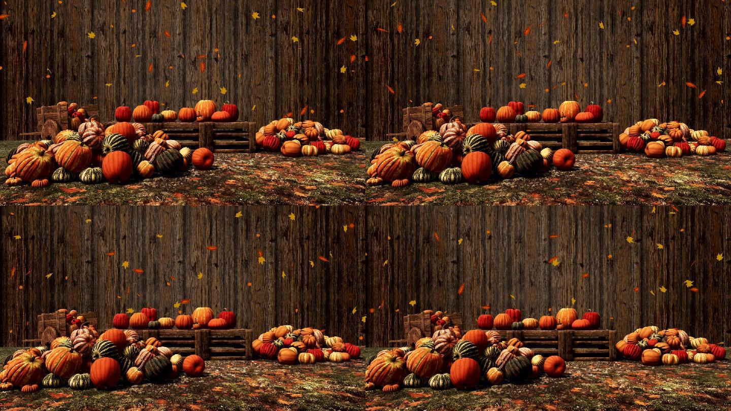 秋天的南瓜的场景背景