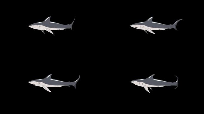 鲨鱼游泳动画