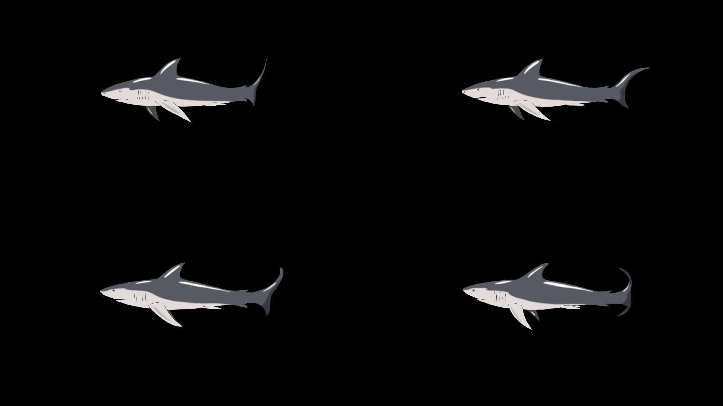 鲨鱼游泳动画