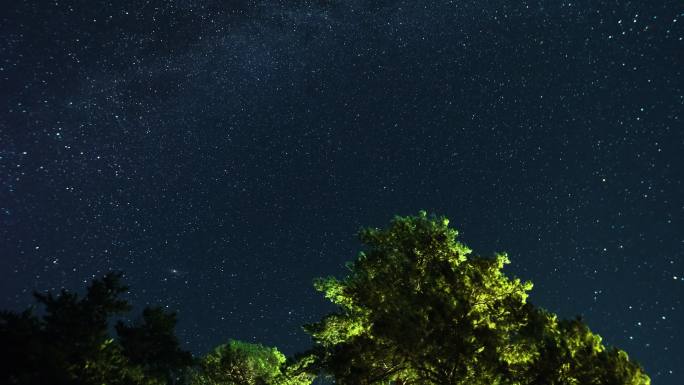星空树林延时摄影夜空露营户外满天繁星