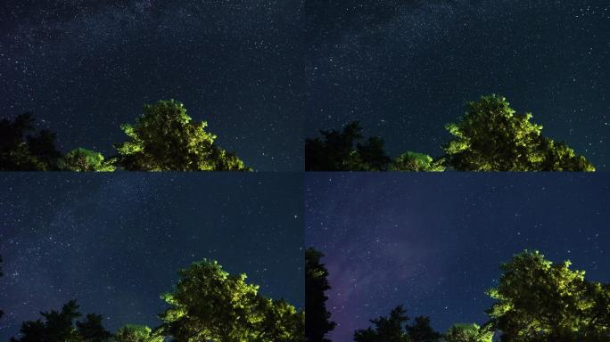 星空树林延时摄影夜空露营户外满天繁星