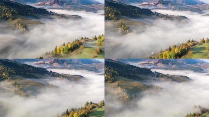 农村雾霾森林秋季乡村自然空中时间推移