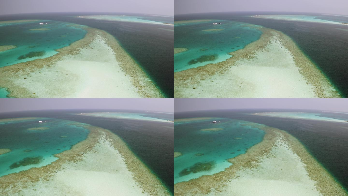 珊瑚珊瑚礁素材-珊瑚珊瑚礁图片-珊瑚珊瑚礁素材图片下载-觅知网