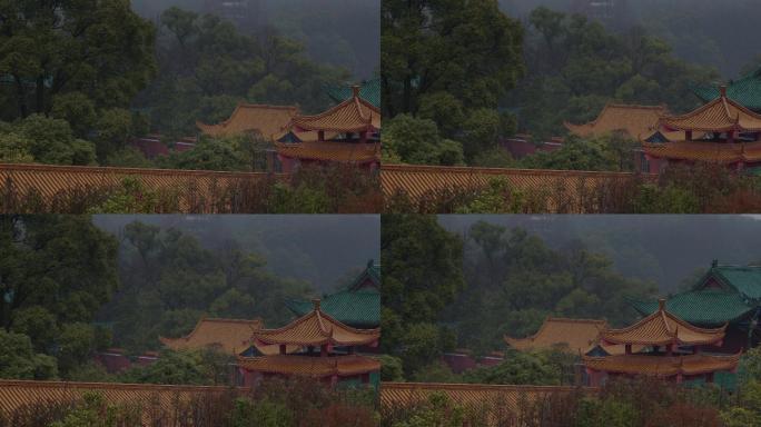 6K雨雾中的古寺古樟禅院