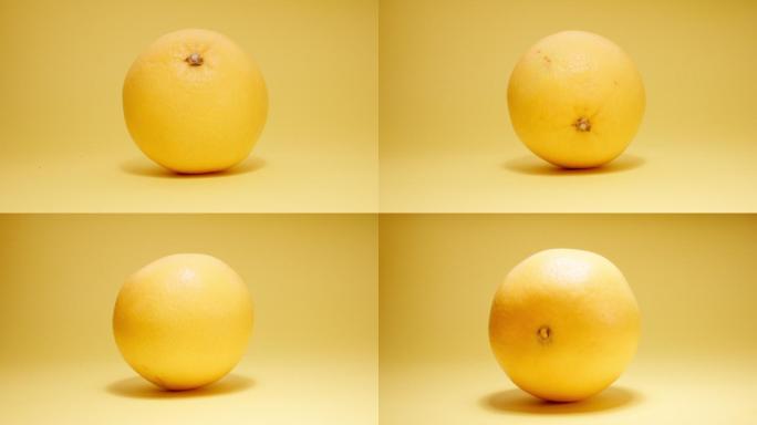 黄色背景上的橙子在滚动