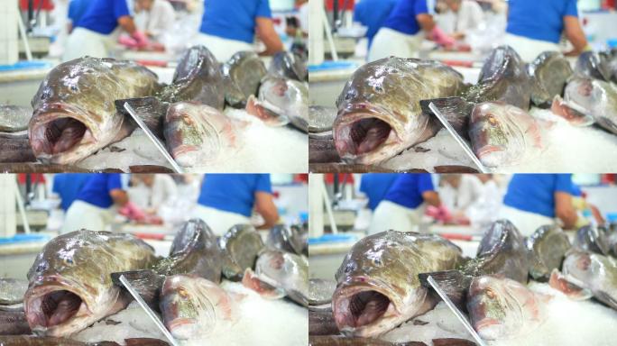 海洋鱼类市场
