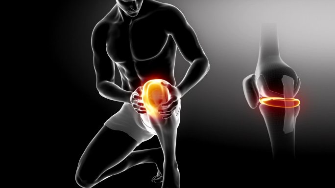膝盖骨和关节受伤热疗仪成年男子模型治疗模