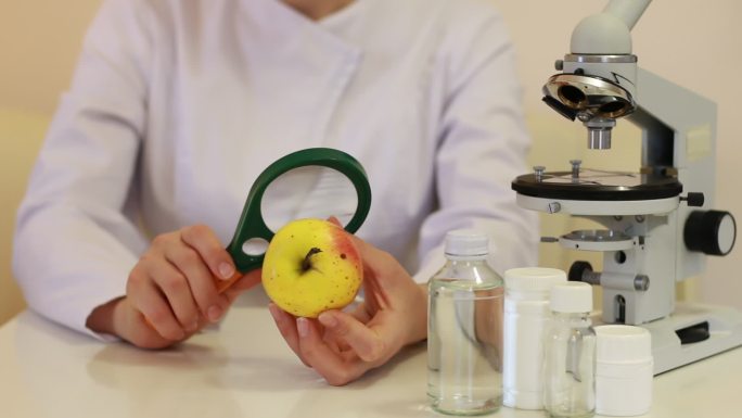 实验室里的科学家分析了一个苹果