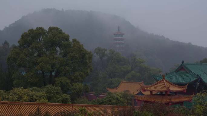 6K雨雾中的古寺古樟佛塔【延时】