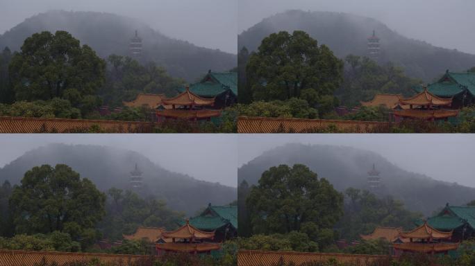 6K雨雾中的古寺古樟佛塔【延时】