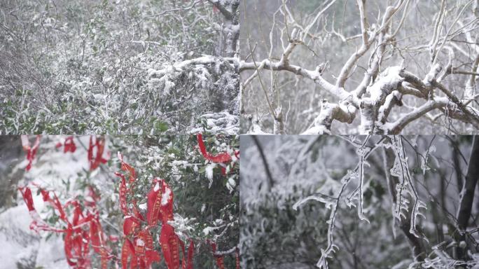 冰雪、下雪天气