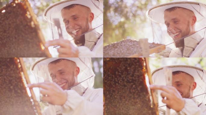 查看蜜蜂的养蜂人养蜜蜂蜂蜜采集收集蜂蜜