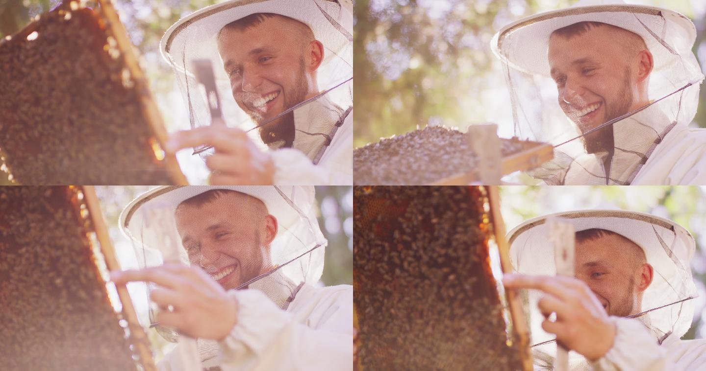 查看蜜蜂的养蜂人养蜜蜂蜂蜜采集收集蜂蜜
