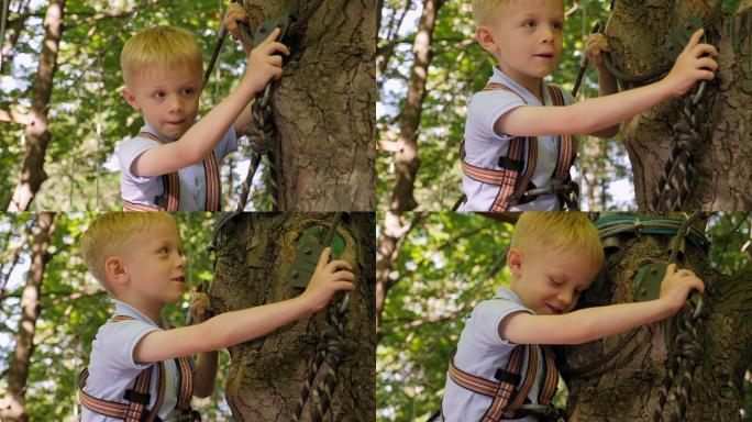 户外爬树的小男孩户外爬树安全绳索勇敢尝试